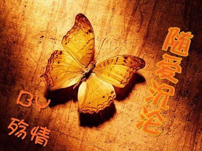 随爱沉沦/训の爱